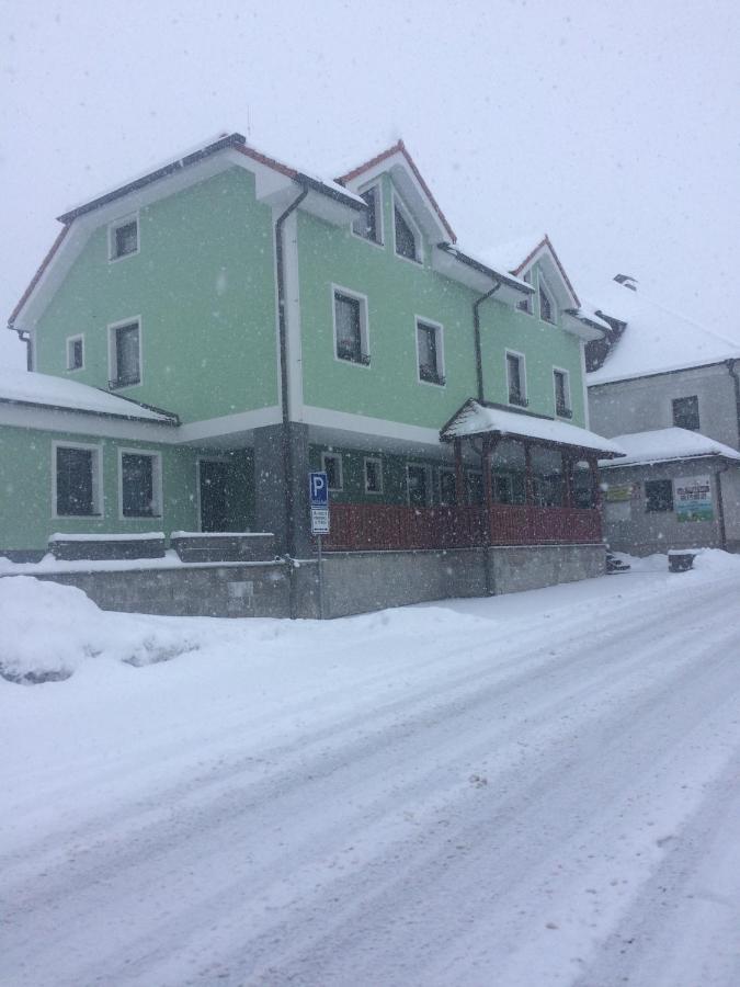 Penzion U Pesku Horní Planá Kültér fotó