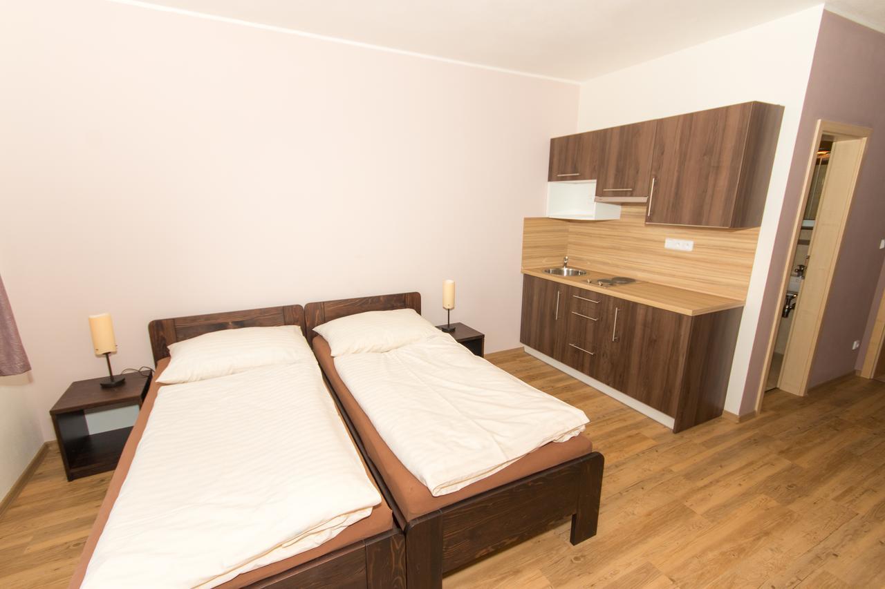 Penzion U Pesku Horní Planá Kültér fotó